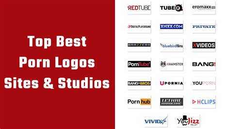 perkvids|Porn Channels: Porn Brands, Studios and even Beginners Channels